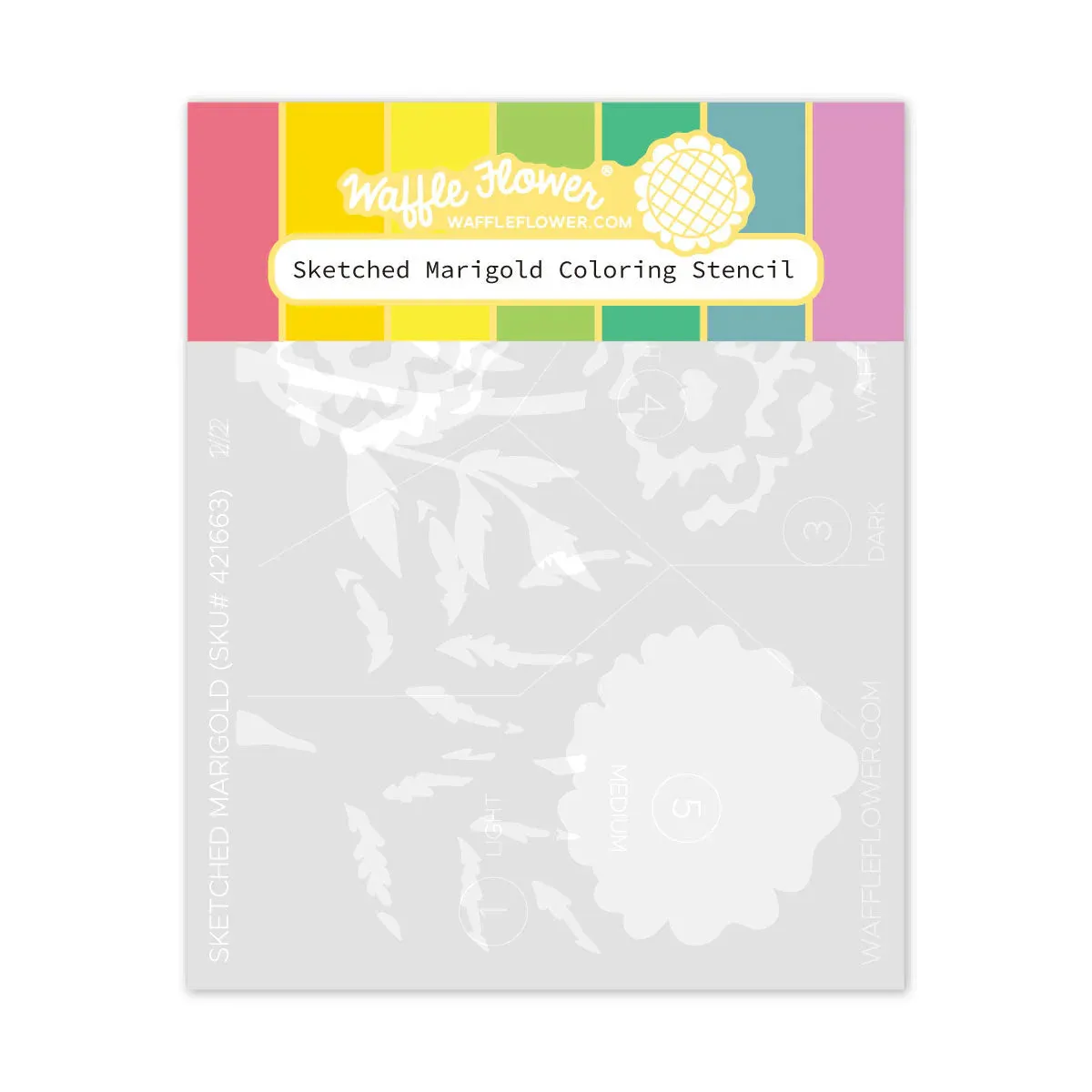     Sketched Marigold Coloring Stencil