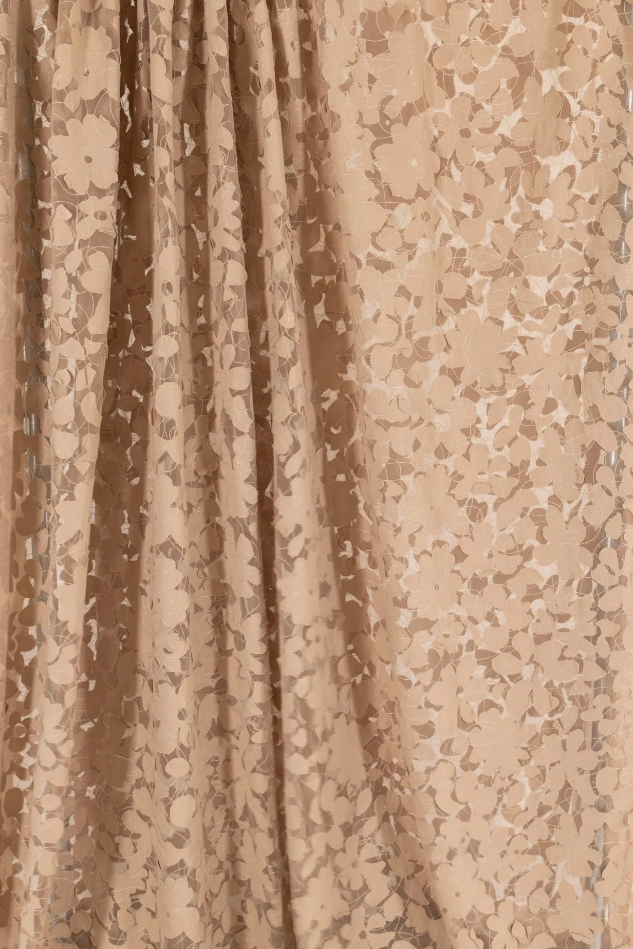 Acacia Honey Lace Mesh