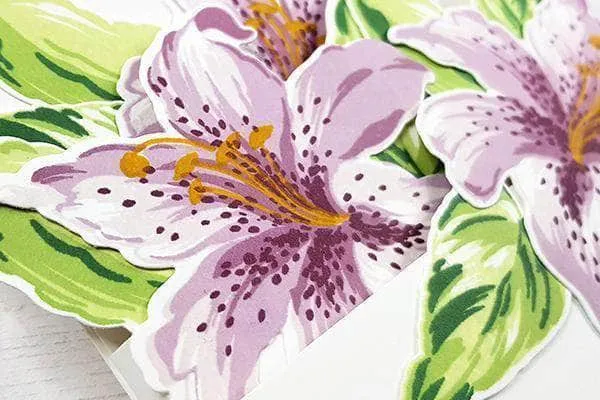 All About Layering 5 - BAF Edition Online Cardmaking Class