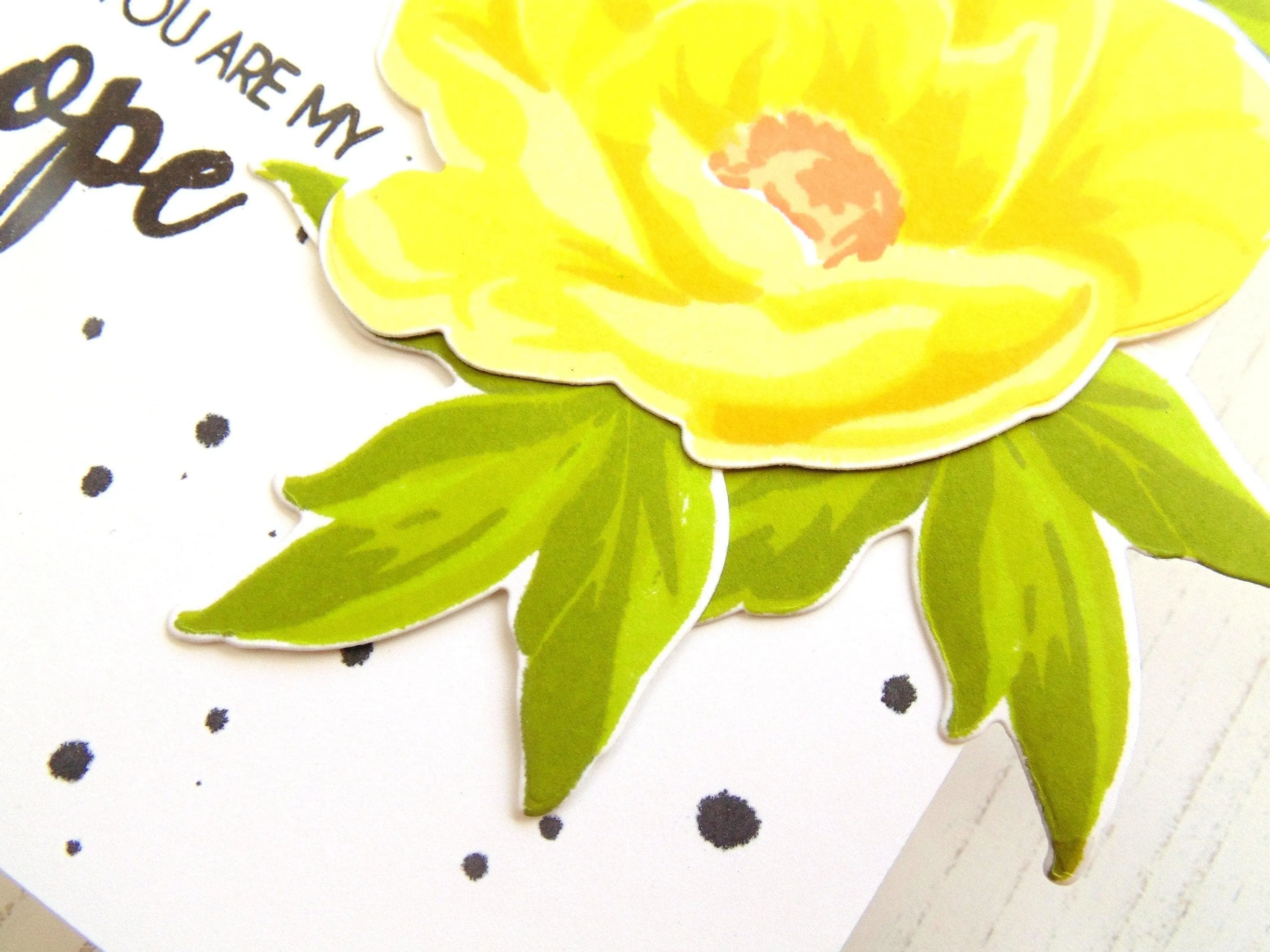 All About Layering Class Bundle (SAVE $167.93) Online Cardmaking Class