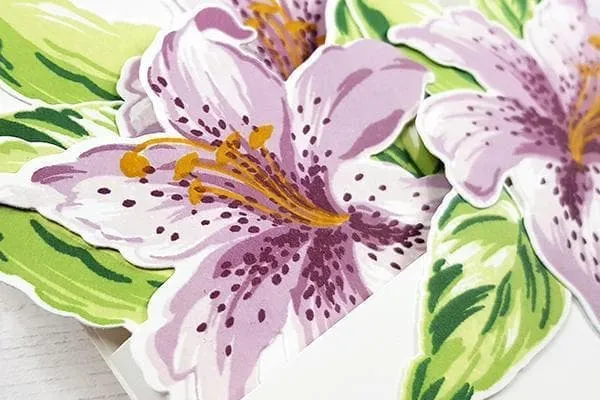 All About Layering Class Bundle (SAVE $167.93) Online Cardmaking Class