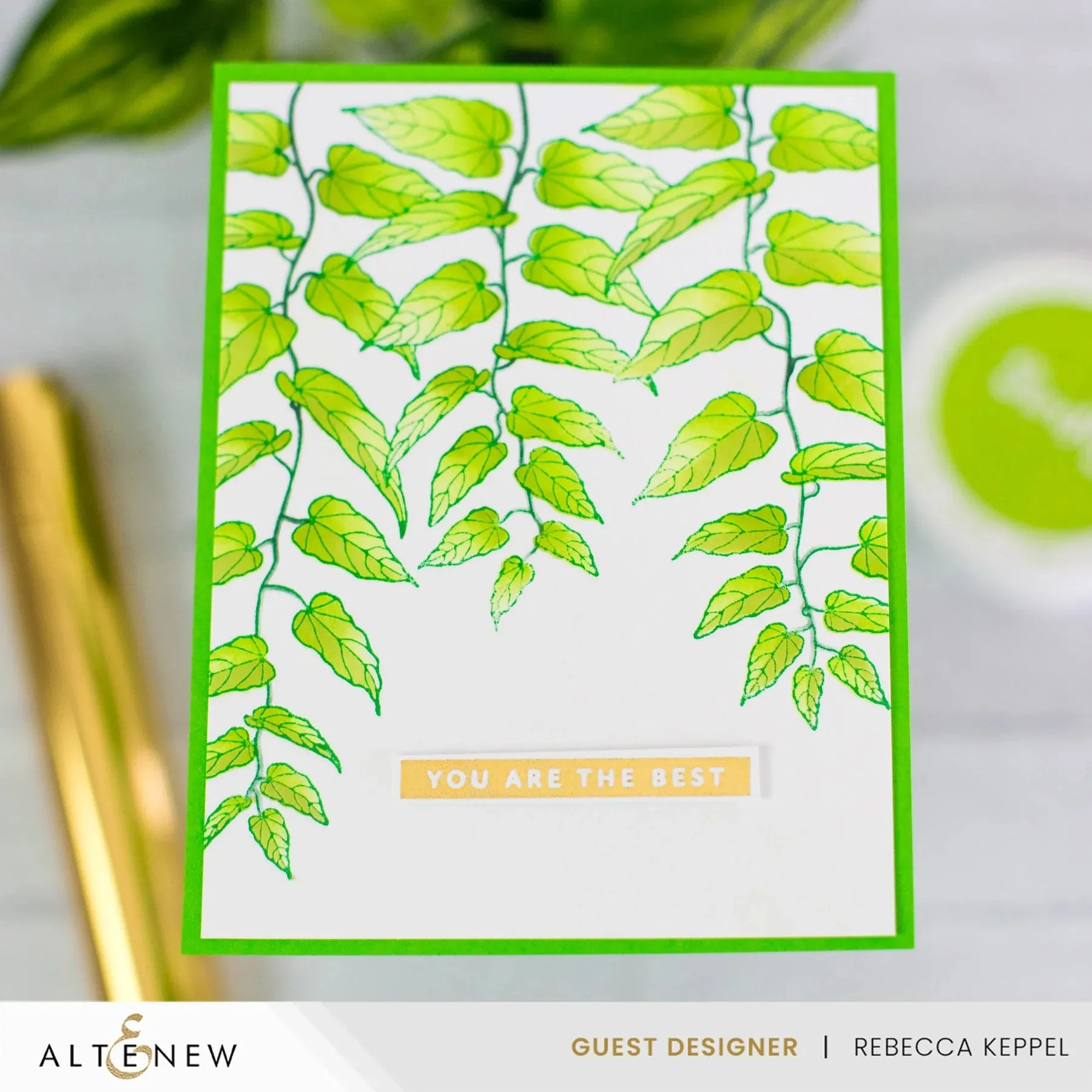 Altenew Cascading Vines Simple Colouring & Layering Stencil Set