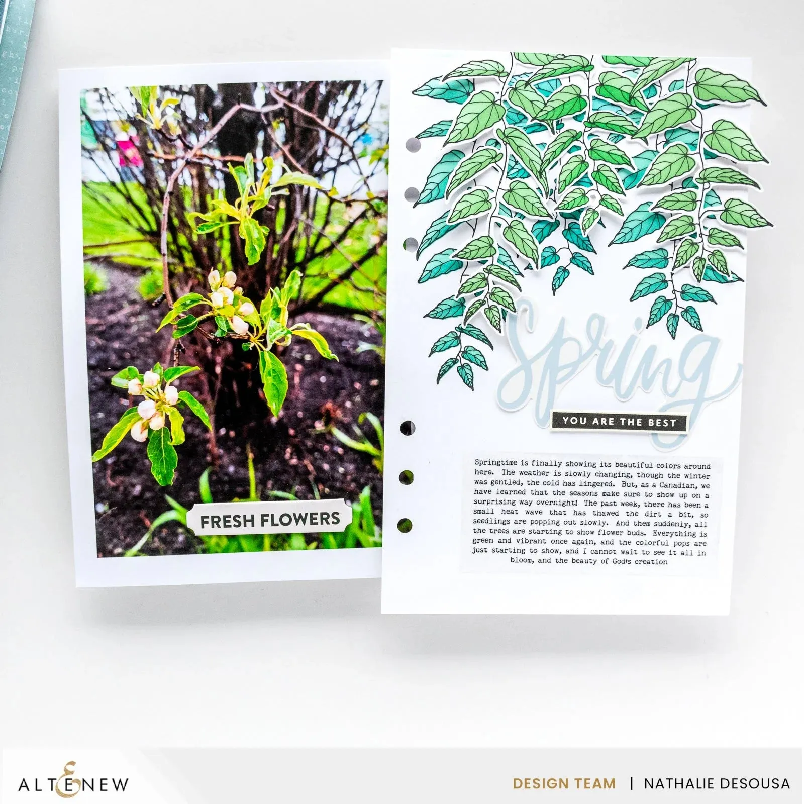 Altenew Cascading Vines Simple Colouring & Layering Stencil Set