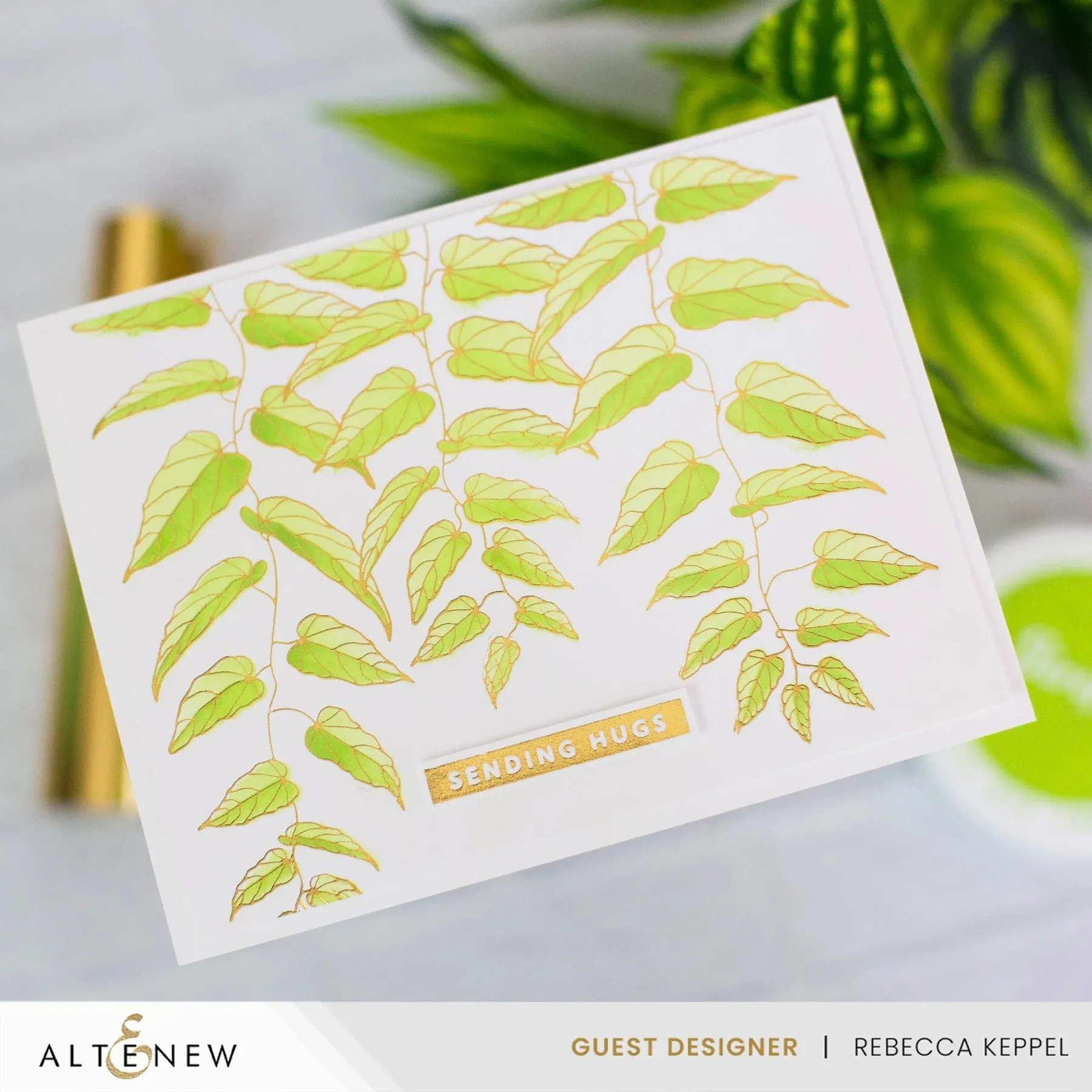 Altenew Cascading Vines Simple Colouring & Layering Stencil Set