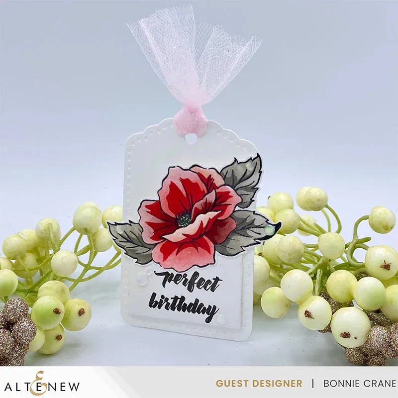 Altenew Perfect Gift Simple Colouring & Layering Set