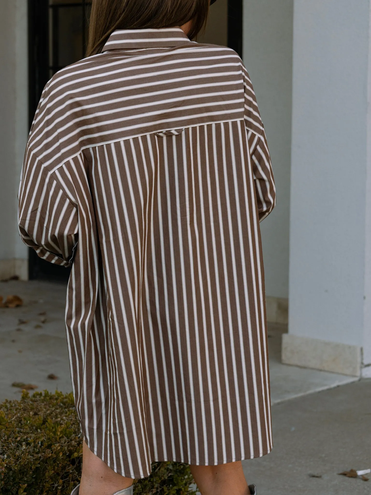 Bailey Brown Button Down Dress