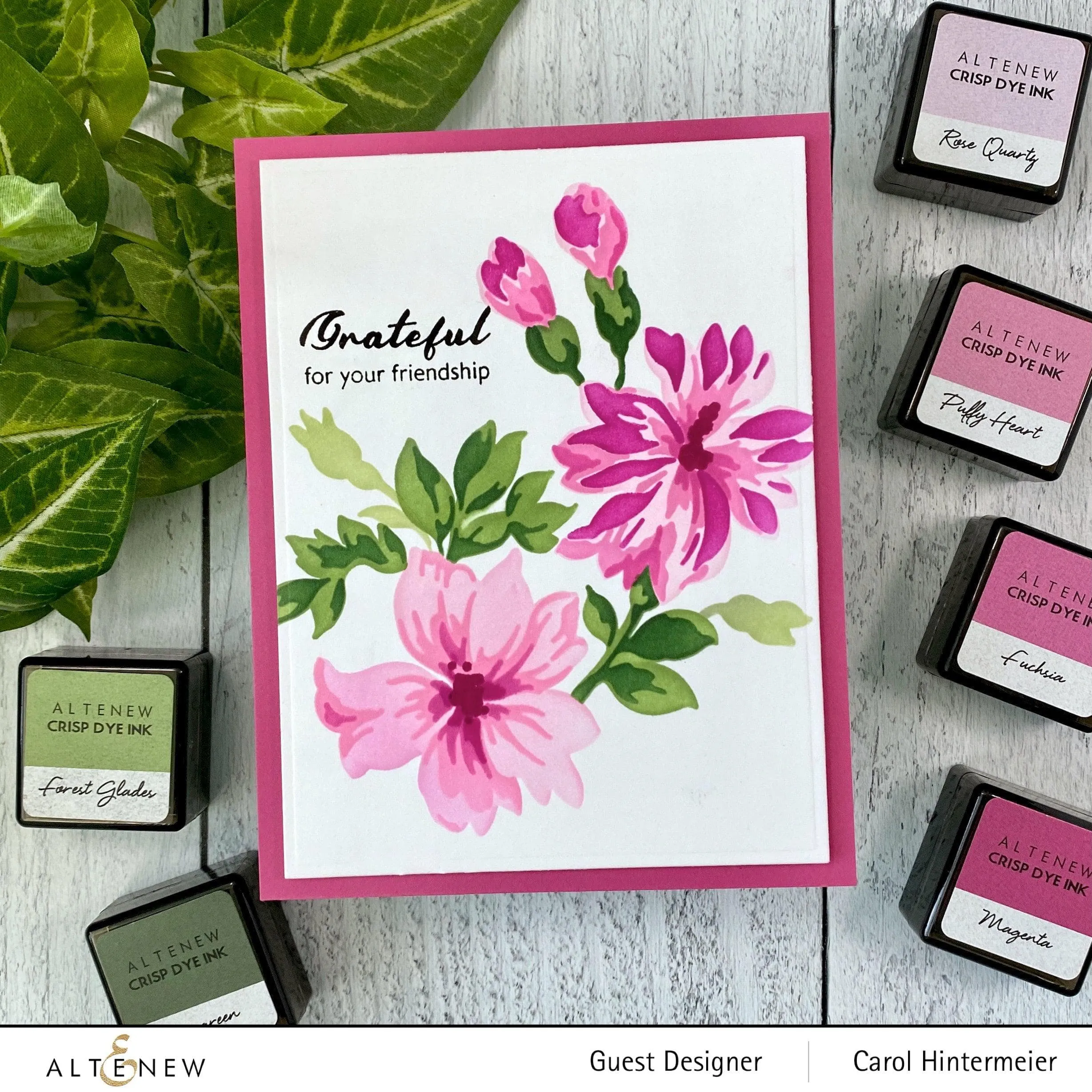 Bitterroot Flower Layering Stencil (3 in 1)