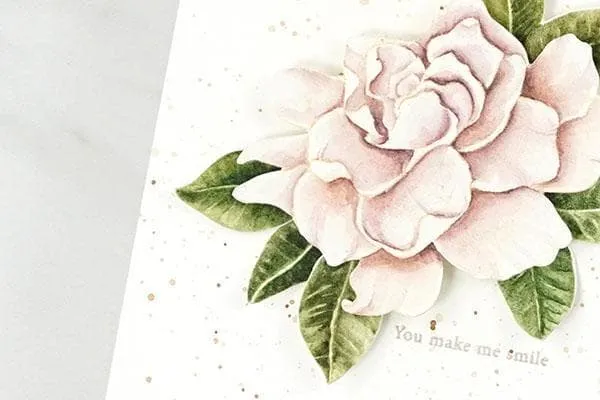 Botanical Illustration Inspired Watercolor: Advanced Watercolor Techniques Online Class