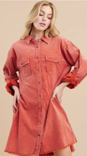 BRIELLE SHIRT DRESS