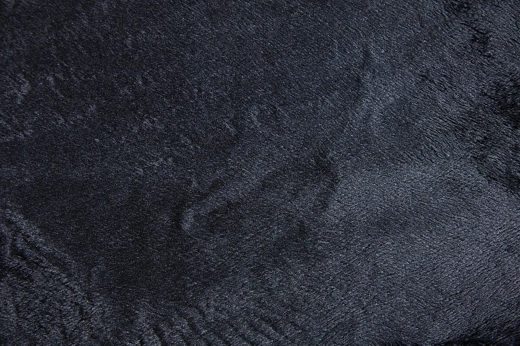Carrejou Pant