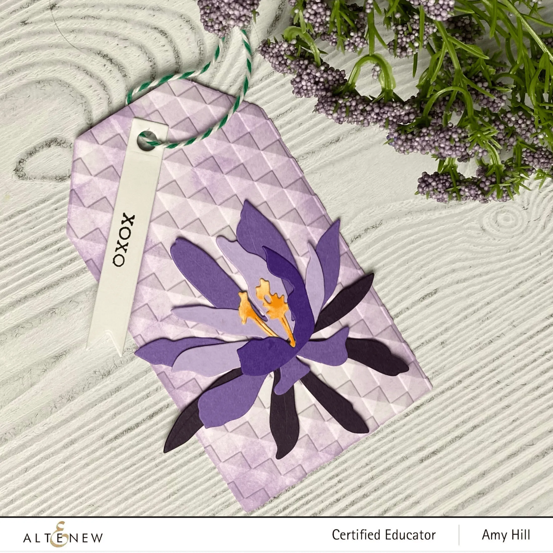 Craft-A-Flower: Epiphyllum Layering Die Set