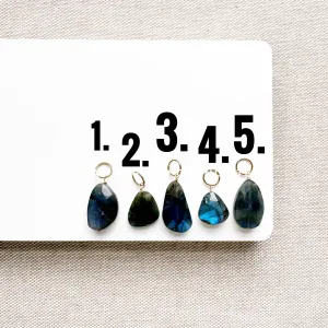 Dark Flash Labradorite Bijou Charm