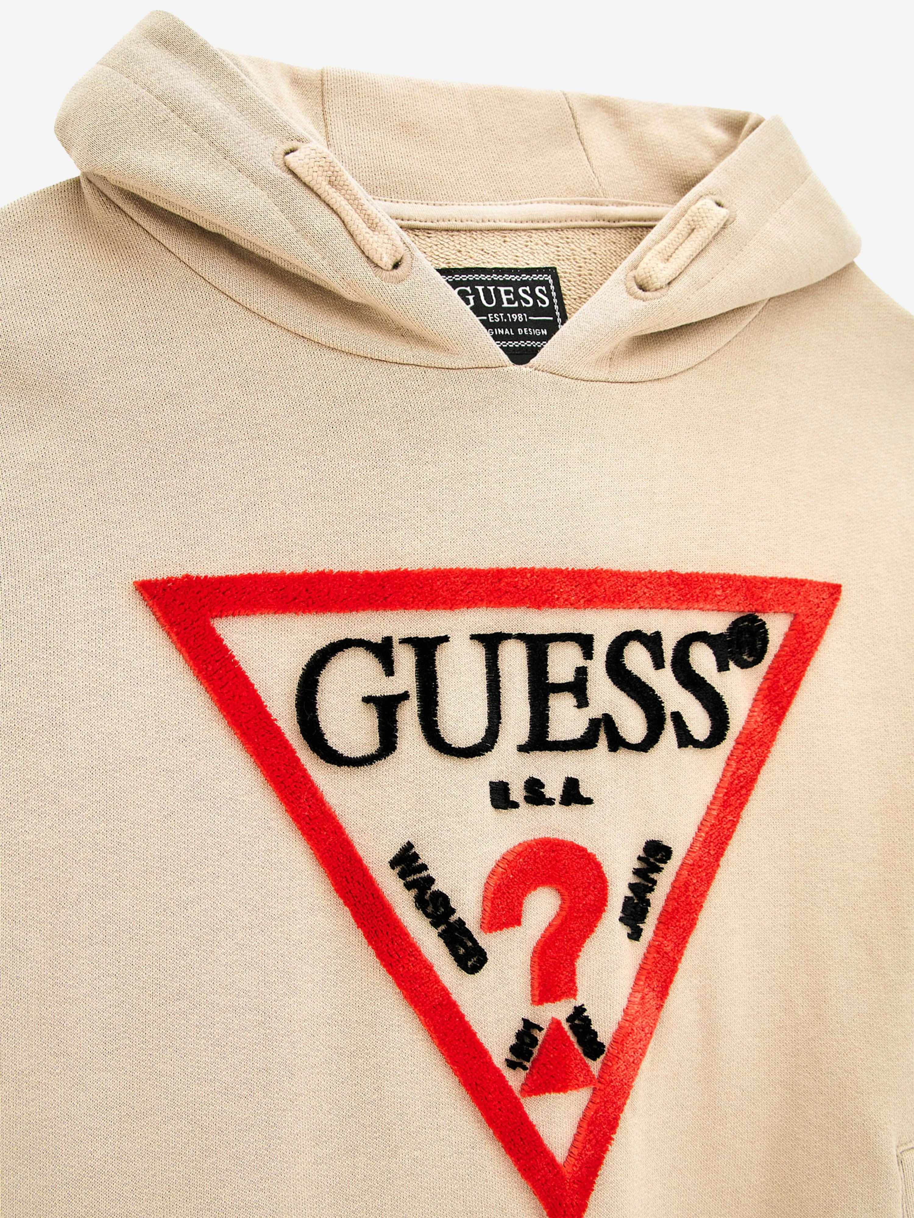 Guess Boys Logo Hoodie in Beige