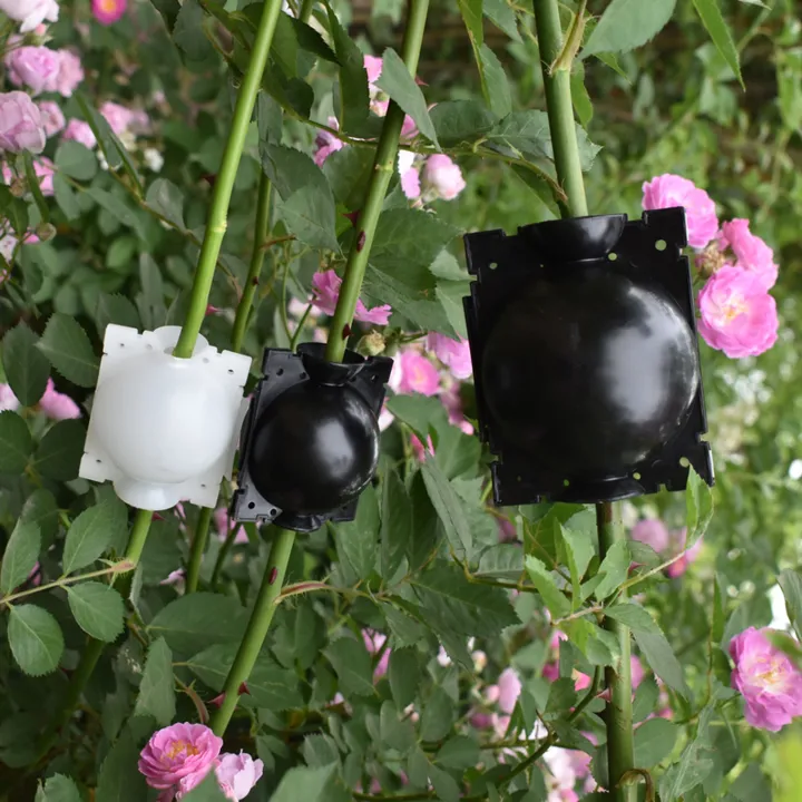 Lifesparking™ Air Layering Plant Propagator Pod