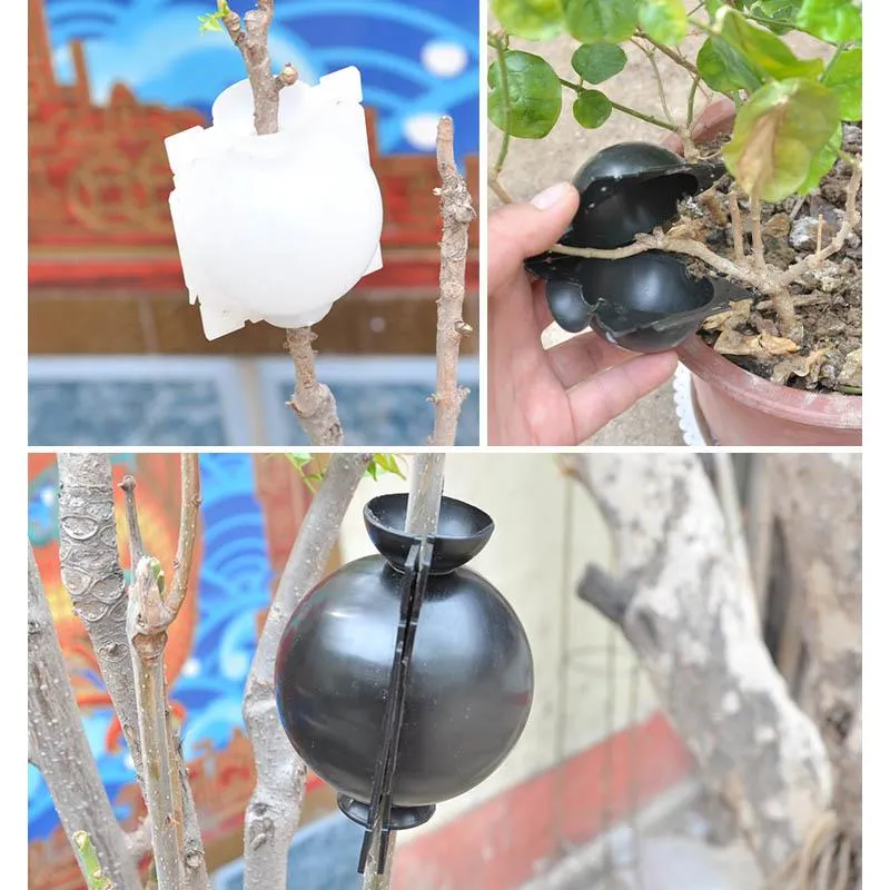 Lifesparking™ Air Layering Plant Propagator Pod
