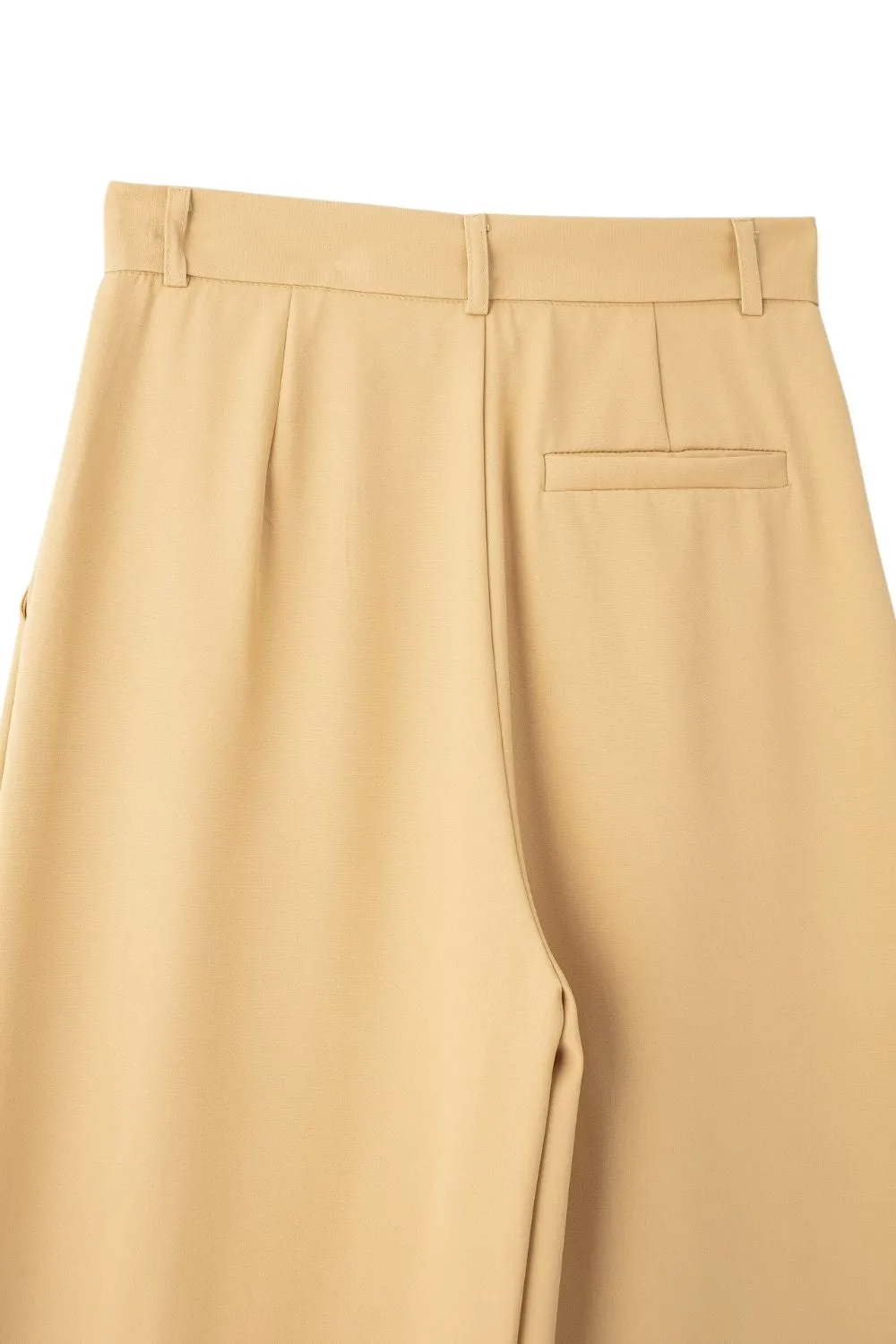 'Madeline' Pleated High-Waist Wide-Leg Pants