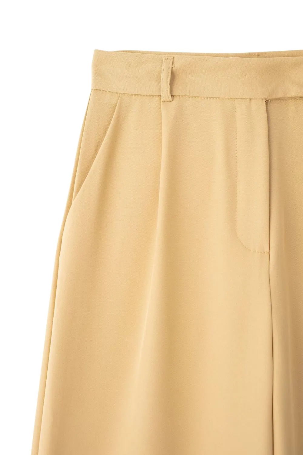 'Madeline' Pleated High-Waist Wide-Leg Pants