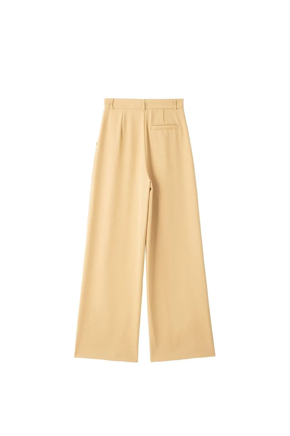 'Madeline' Pleated High-Waist Wide-Leg Pants