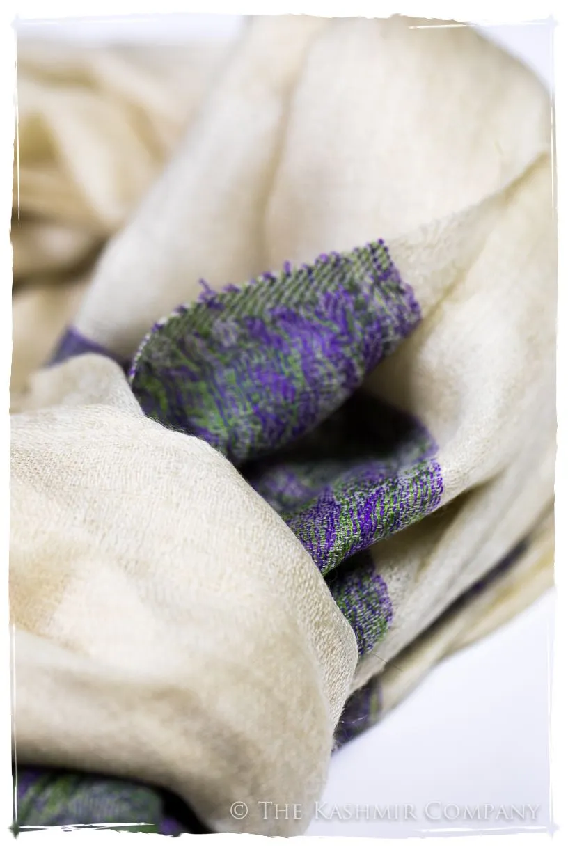 Maysoon Paisley Frontière Pashmina Cashmere Scarf