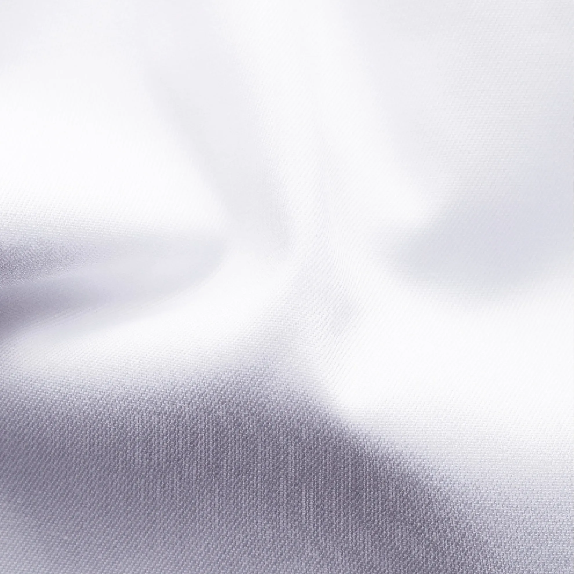 Paisley Effect Contemporary Fit Signiture Twill  / White