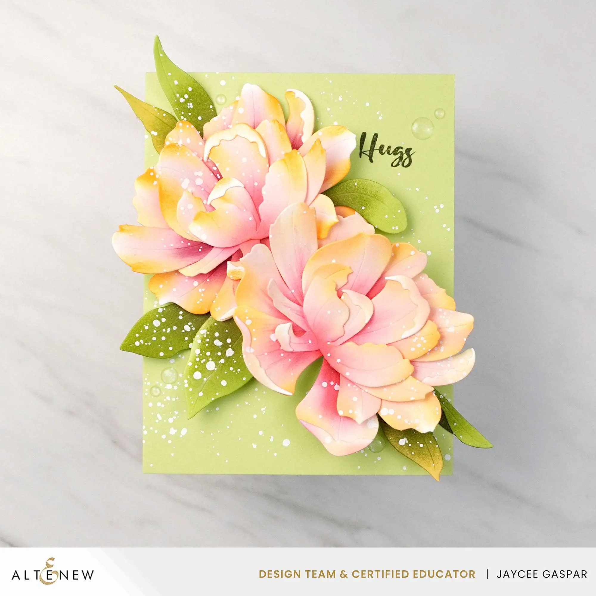 Pink Star Tulip Layering Die Set