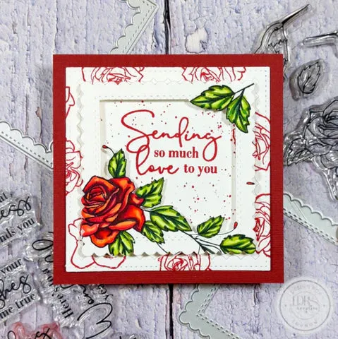 Trailing Hummingbird Stamps, Dies, and Layering Stencils Bundle